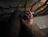 michalvoinn Altpins Profile Picture