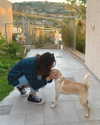 mikasagie_ Altpins Profile Picture