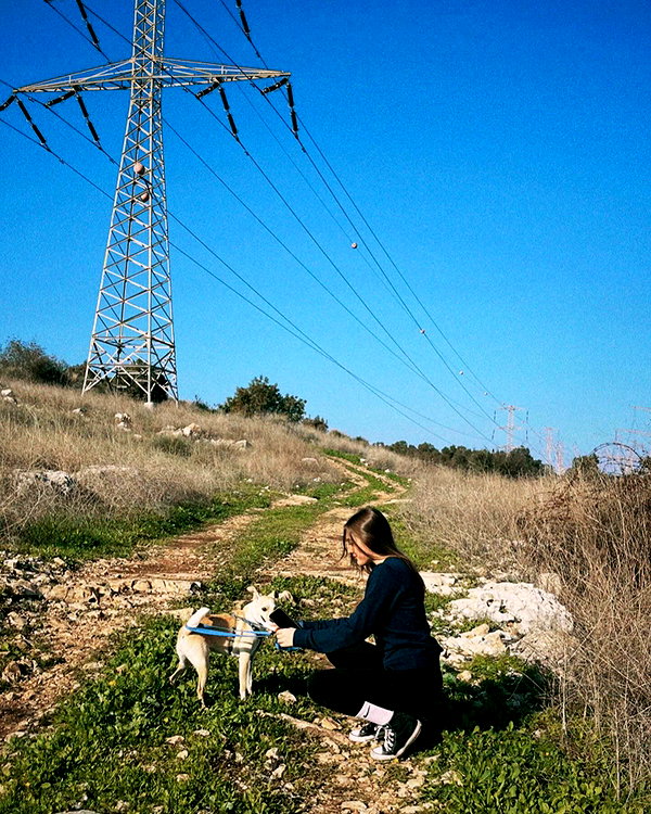 mikasagie_ instagram image archive image