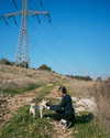mikasagie_ Altpins Profile Picture
