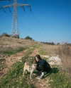 mikasagie_ Altpins Profile Picture