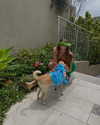 mikasagie_ Altpins Profile Picture