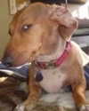 mikaya.mia Altpins Profile Picture