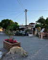 milena_kofef Altpins Profile Picture
