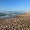 milena_kofef Altpins Profile Picture