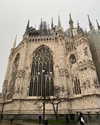 milena_kofef Altpins Profile Picture