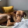 milena_kofef Altpins Profile Picture