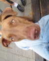 milena_kofef Altpins Profile Picture