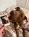 milena_kofef Altpins Profile Picture