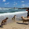 milena_kofef Altpins Profile Picture