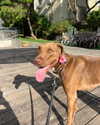 milena_kofef Altpins Profile Picture