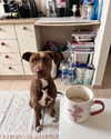 milena_kofef Altpins Profile Picture