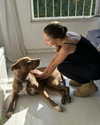 milena_kofef Altpins Profile Picture
