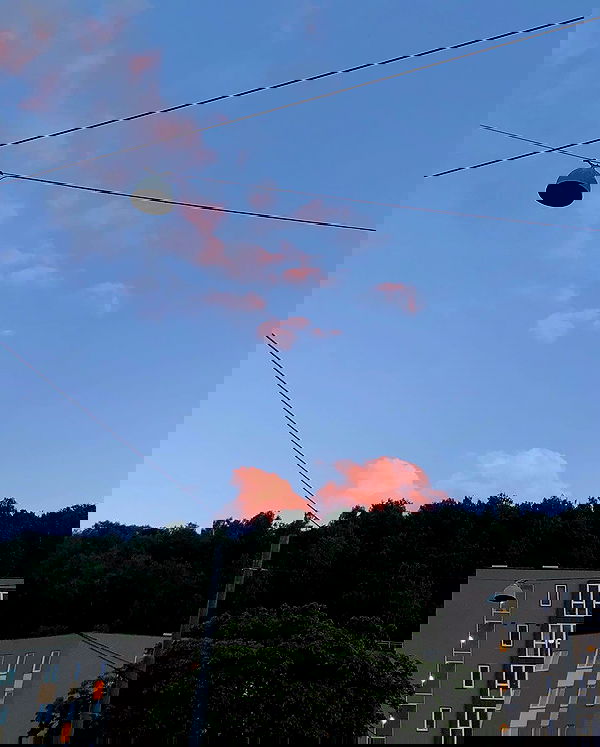 milkgore milkgore archive image