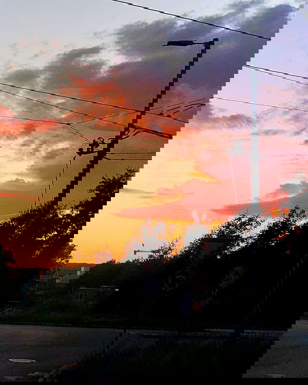 milkgore milkgore archive image