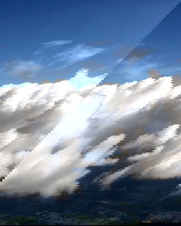 milkgore milkgore archive image