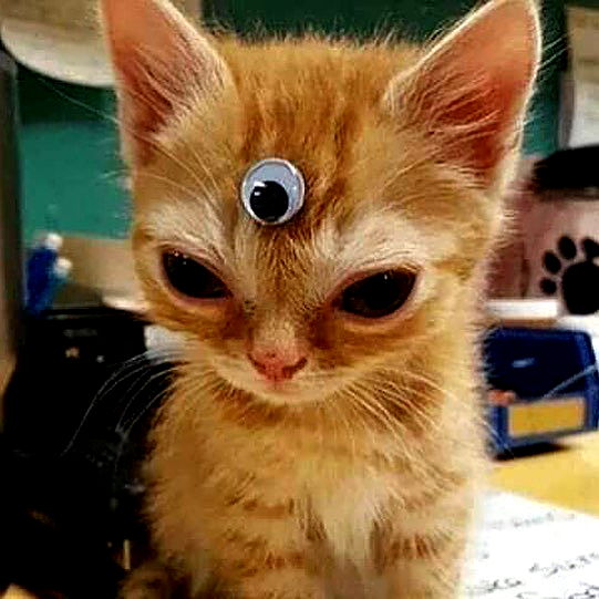 milkgore milkgore archive image