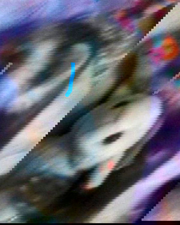 milkgore milkgore archive image