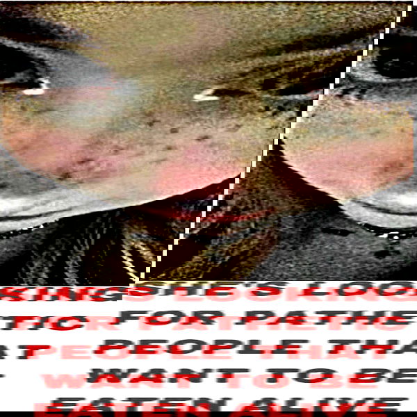 milkgore milkgore archive image