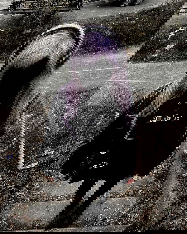 milkgore milkgore archive image