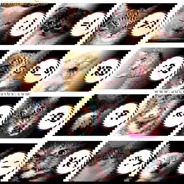 milkgore milkgore archive image