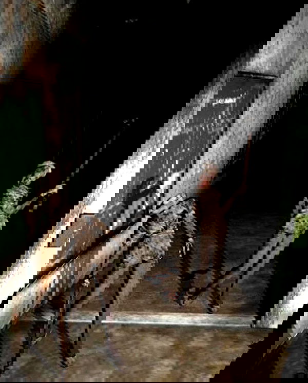 milkgore milkgore archive image