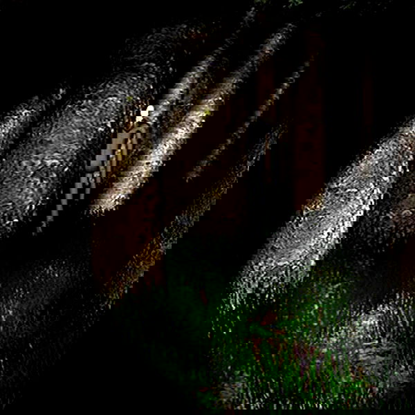 milkgore milkgore archive image