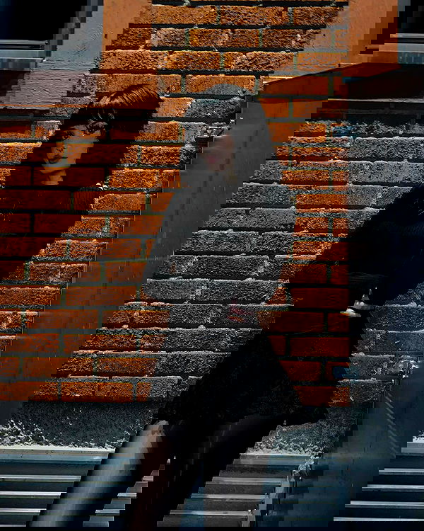 milkgore milkgore archive image