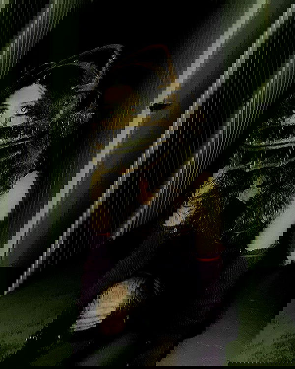 milkgore milkgore archive image