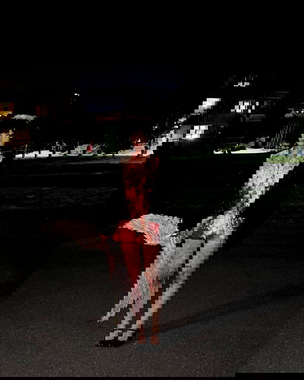 milkgore milkgore archive image