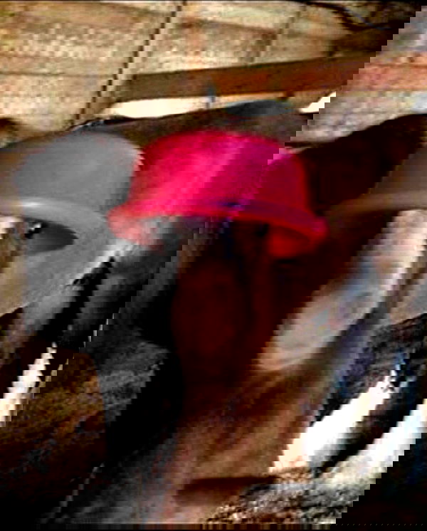 milkgore milkgore archive image