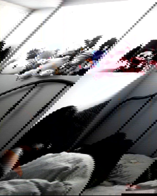 milkgore milkgore archive image