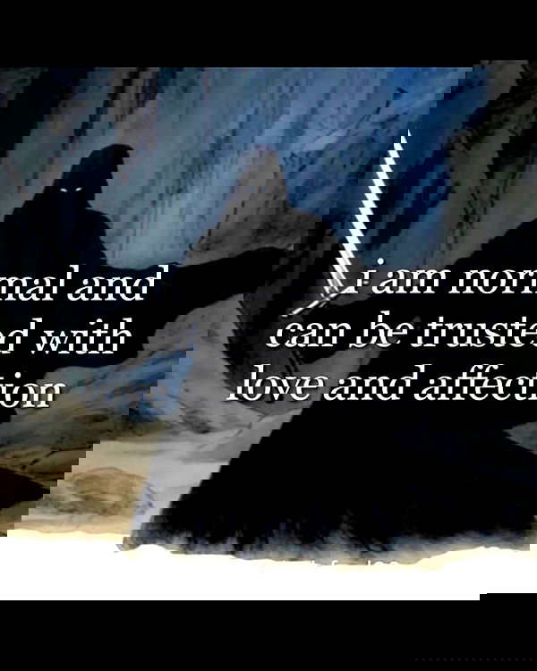 milkgore milkgore archive image