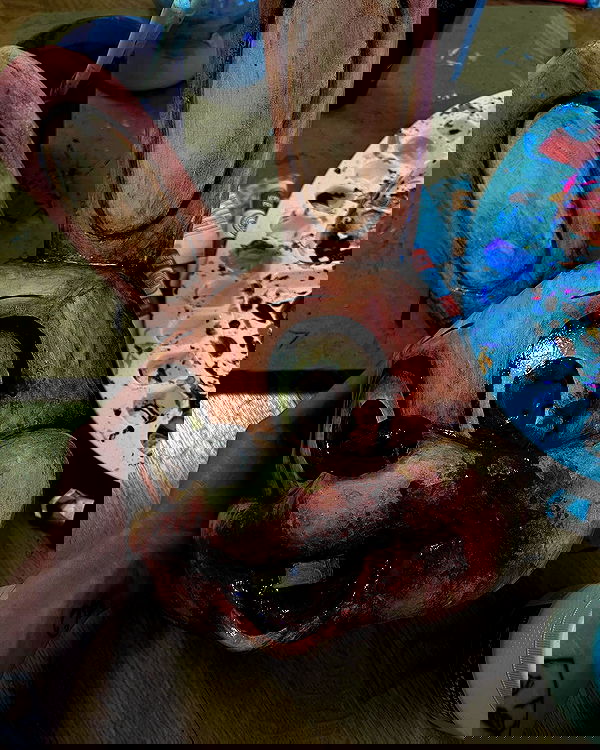 milkgore milkgore archive image