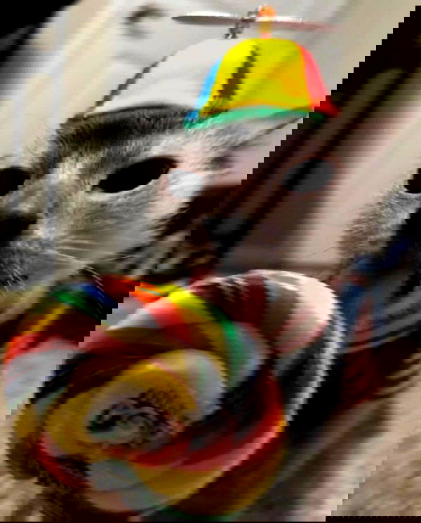 milkgore milkgore archive image