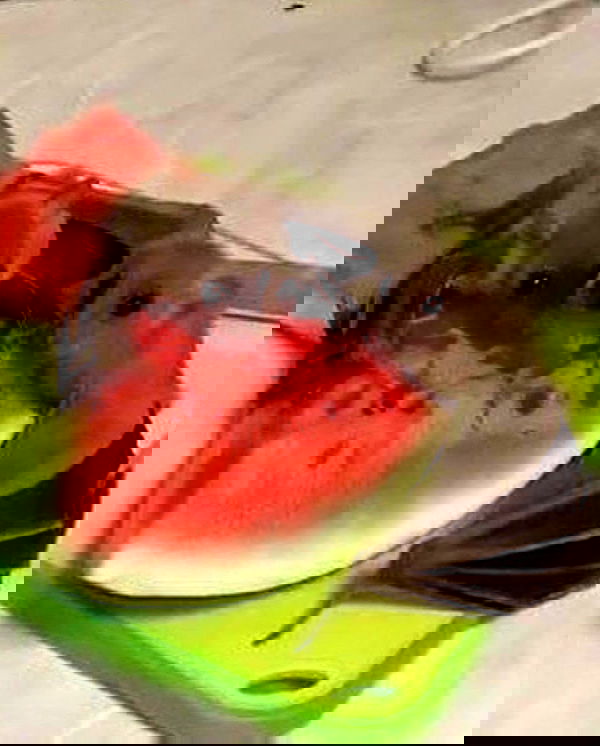 milkgore milkgore archive image