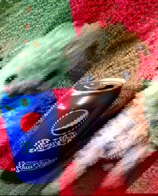 milkgore milkgore archive image