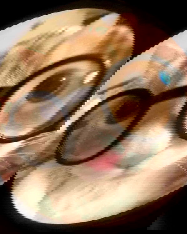 milkgore milkgore archive image