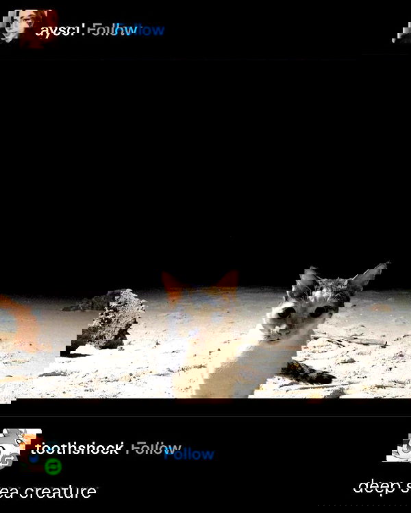 milkgore milkgore archive image