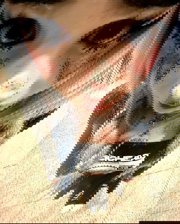 milkgore milkgore archive image