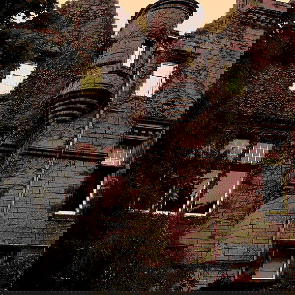 milkgore milkgore archive image