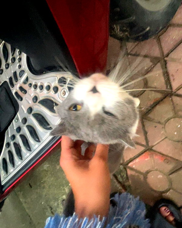 milliekaushal instagram image archive image