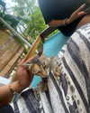 milliekaushal Altpins Profile Picture