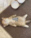 minenmi_ Altpins Profile Picture