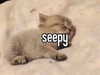 minenmi_ Altpins Profile Picture