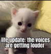 minenmi_ Altpins Profile Picture