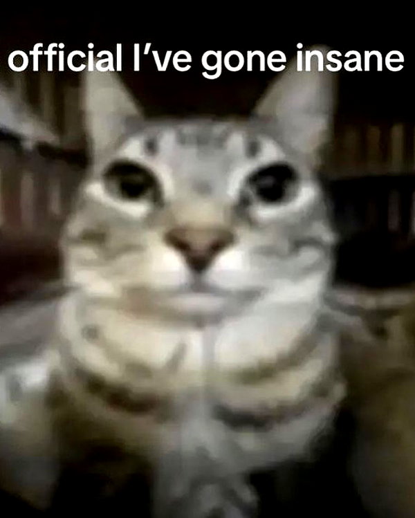 minenmi_ instagram image archive image