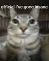 minenmi_ Altpins Profile Picture