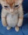 minenmi_ Altpins Profile Picture