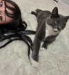 minenmi_ Altpins Profile Picture